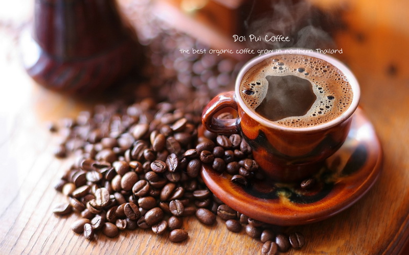 DOI PUI COFFEE  THE BEST ORGANIC COFFEE BEANS - กาแฟดอยปุย