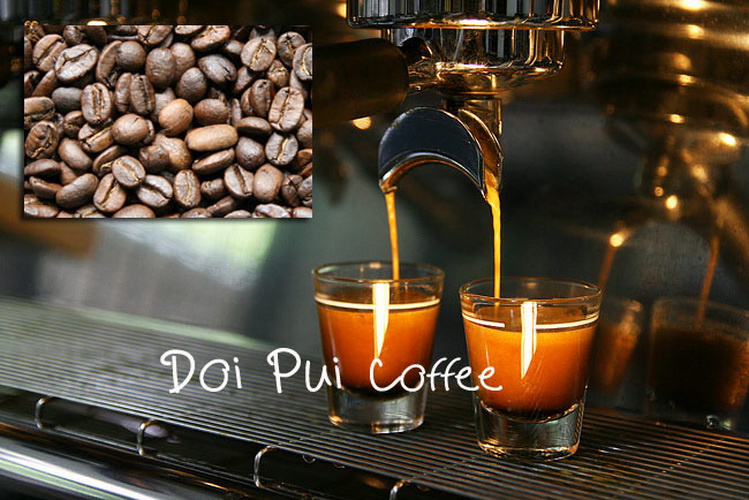 DOI PUI COFFEE  THE BEST ORGANIC COFFEE BEANS - กาแฟดอยปุย