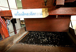 DOI PUI COFFEE  THE BEST ORGANIC COFFEE BEANS - กาแฟดอยปุย